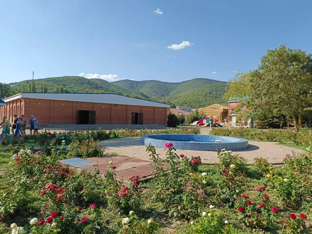 ДСОК «Криница»