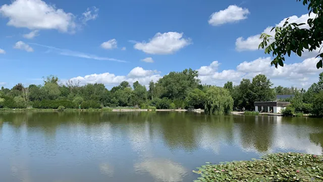 L'Étang du Tilleul