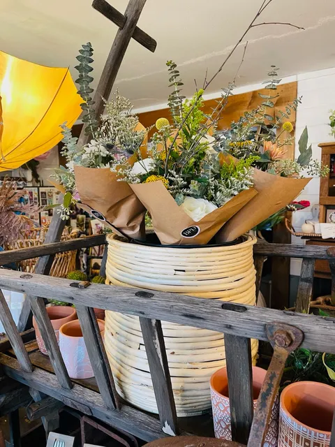 Back Porch Designs & Gifts