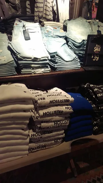 Hollister Co.