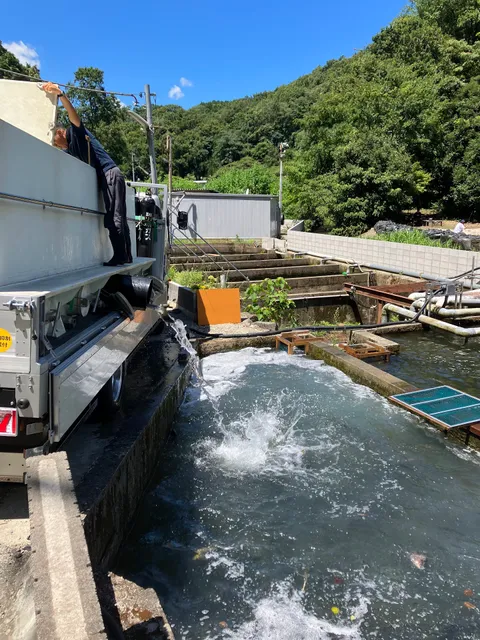 Kyanpikafujigurinpafuronto