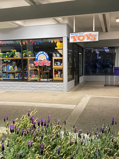 Brown Bear Toys