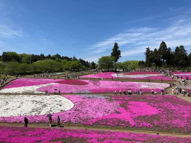 羊山公園第1駐車場