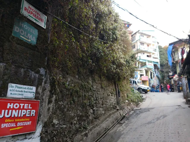 Golden Dolma and Spa