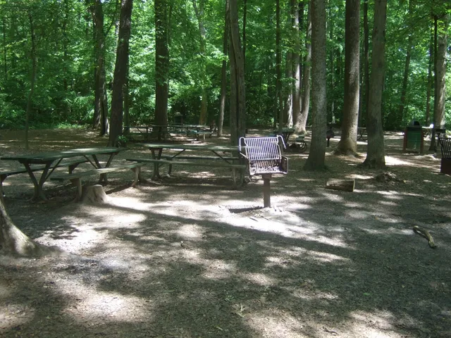 Burke Lake Park Picnic Area 3