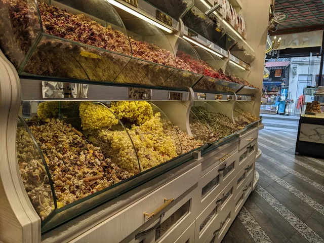 ‪Osmanlizadeler‬