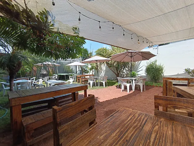 Iguana centro botanero