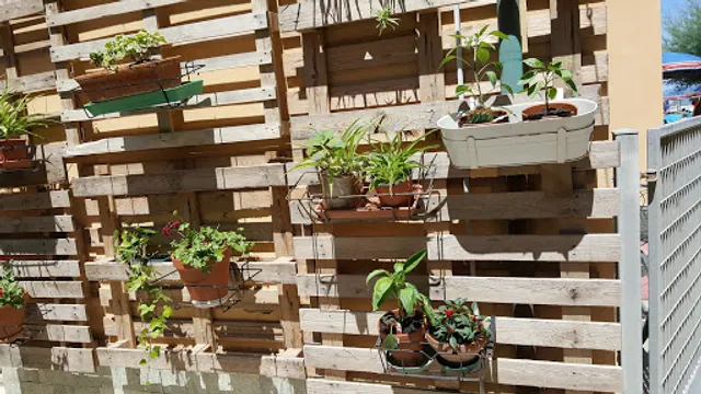 Ristorante Didattico La Scuola Di Riccione