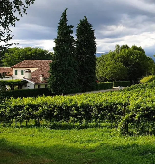 Società agricola l'Eremo s.s.