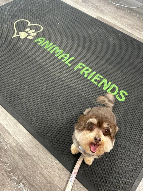 Animal Friends Pet Care