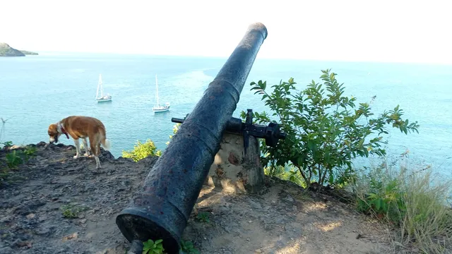 Santa Catalina Island