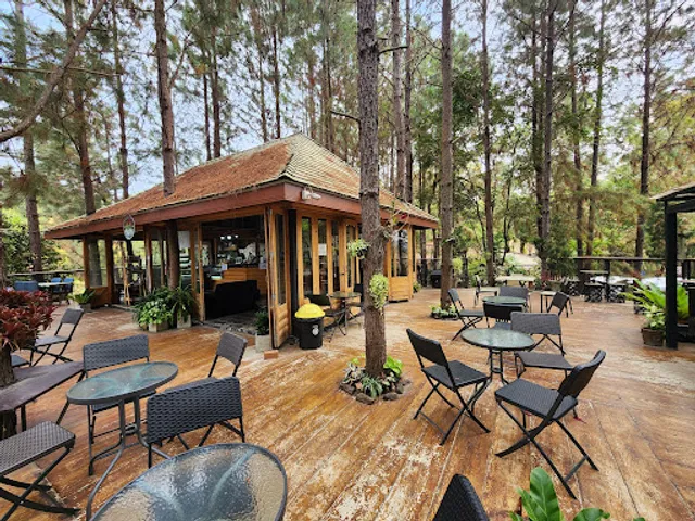 cedar ป่าสน cafe at เขาค้อ