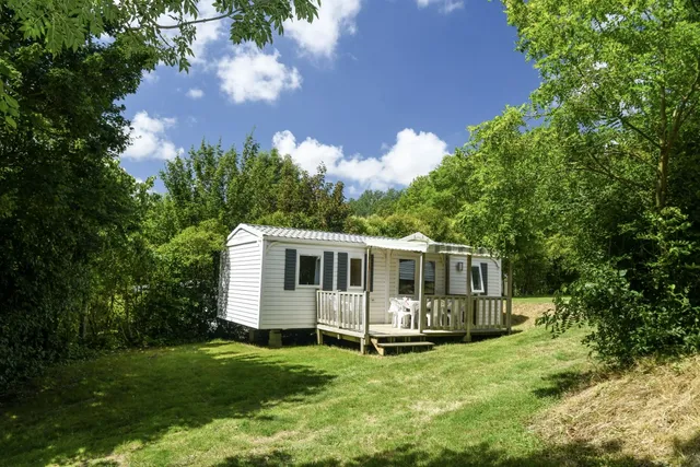 Camping 4 leaf clover