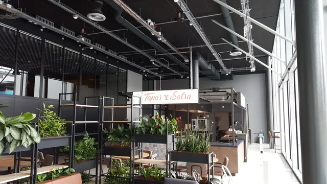 TU Delft Pulse