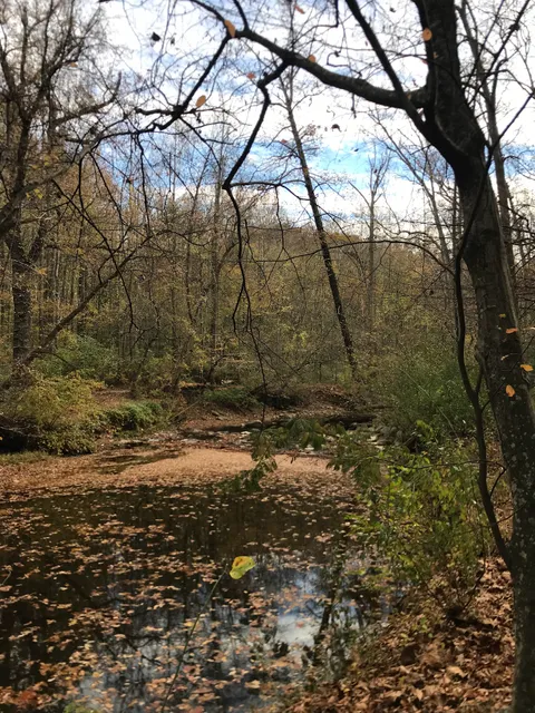 Wakefield Mountain Bike Course