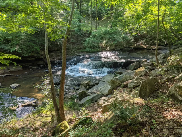 Vaughn Creek Greenway Hiking Trail