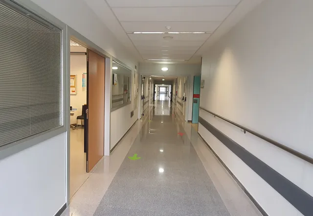 Alvarez Buylla Hospital