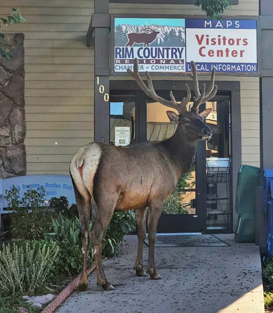 Rim Country Regional Chamber of Commerce