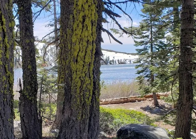 USDA Forest Service Tahoe National Forest Supervisors Office