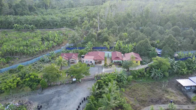 Dhia Irdina Homestay