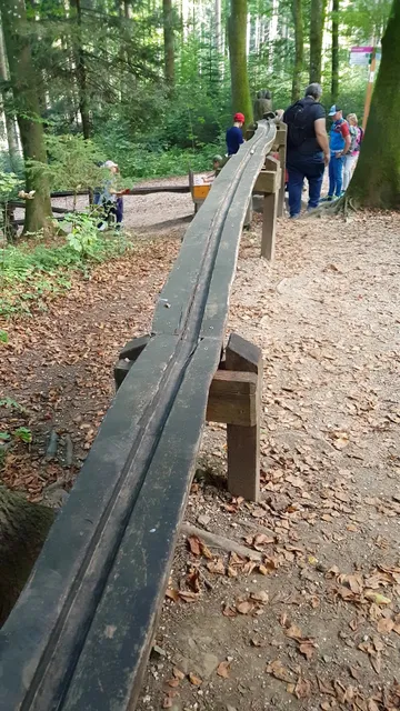 XXL-Waldkugelbahn
