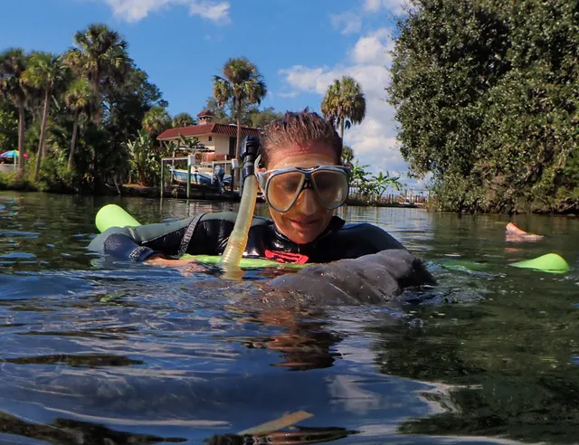Nature's Discovery - Manatee Swim Tours