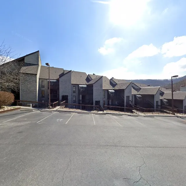 Ski Mountain Chalets