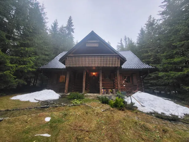 domek w zaczarowanym lesie