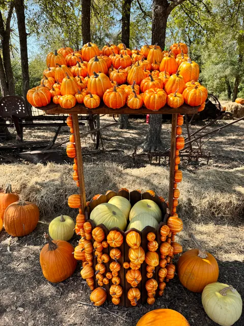 Round Rock Pumpkin Festival