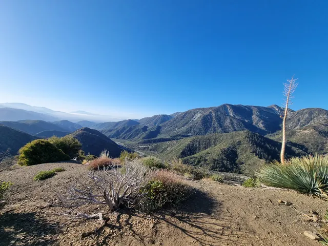 Gobbler's Knob Yellow Post Sites