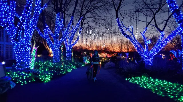 Meadowlark's Winter Walk of Lights