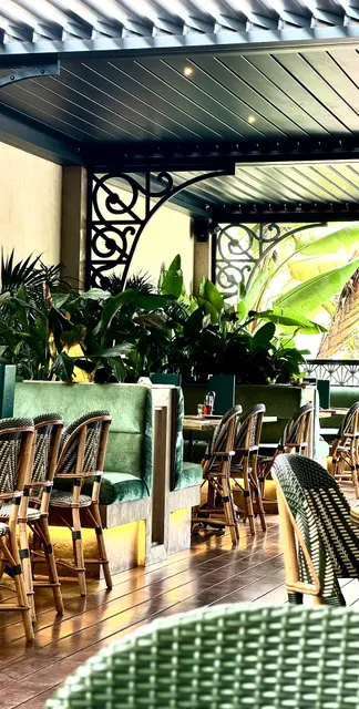 Demoiselle Casablanca