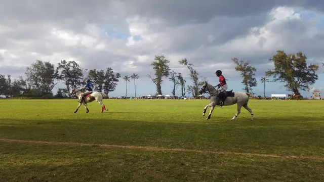 Hawaii Polo Club