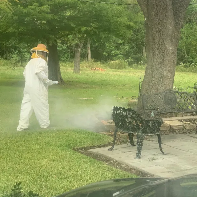 Swat Team Pest Control