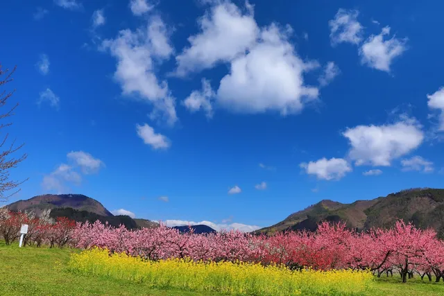 Iizaka Onsen Hanamomo no Sato