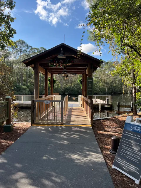 DVC Treehouse Villas