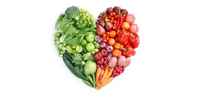 K & B WholeBody Solutions, LLC