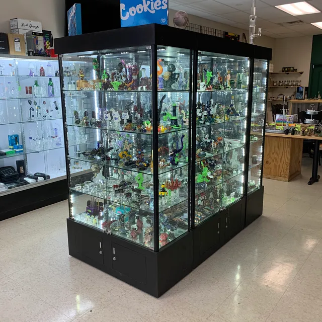 Higher Learning Holistic