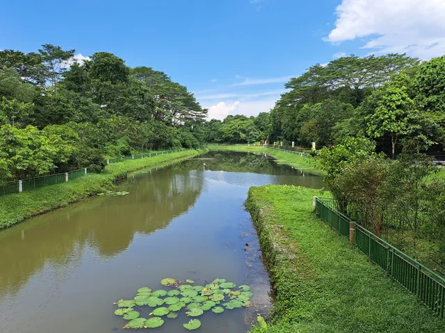 Springleaf Nature Park