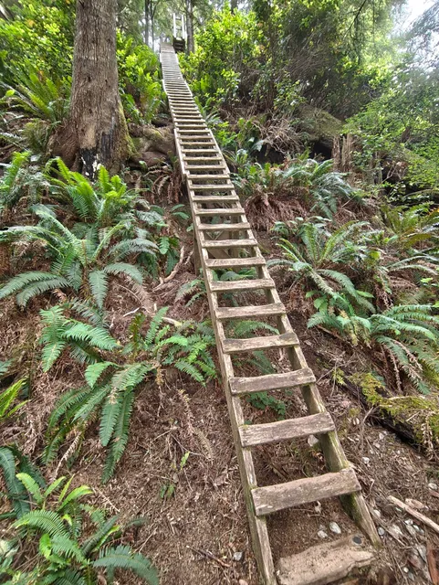West Coast Trail - Pachena Bay Trailhead
