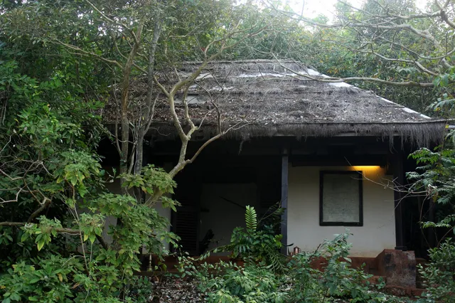 Wildernest Nature Resort