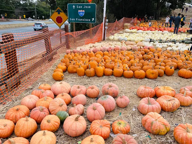Pumpkin Patch at Webb Ranch