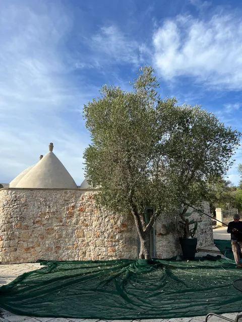 Borgo Paoli - Trulli ad Ostuni