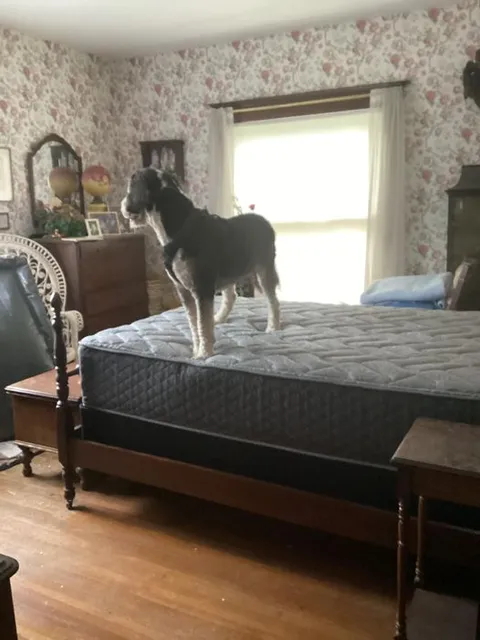 Bob's TV Home Furnishings