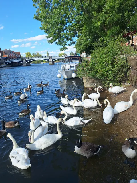 Windsor Castle Parking Lots