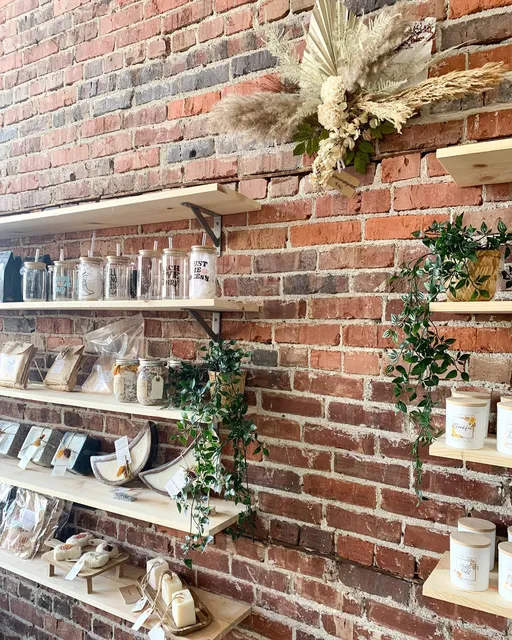 Wildly Rooted Boutique