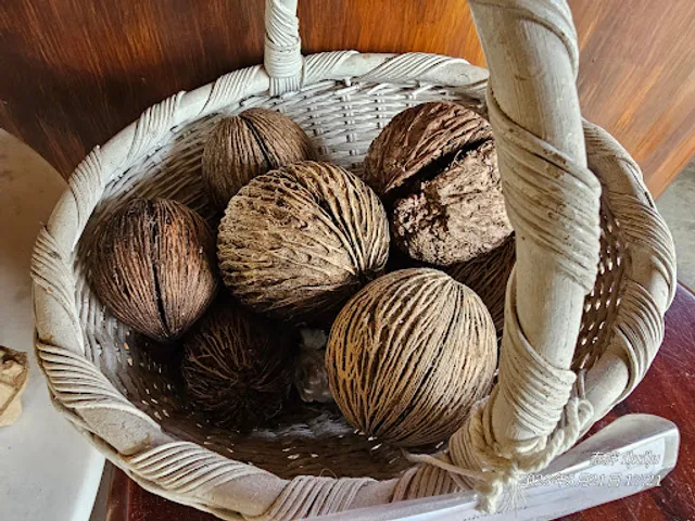 Turtle Bay Hua Hin Eco Luxe