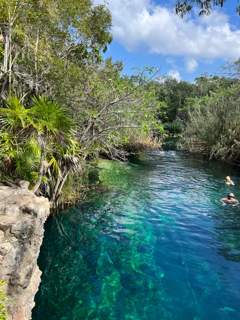 Cenote Escondido (Mayan Blue)