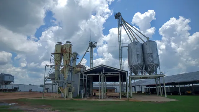 Farmer's Gin & Peanut Co