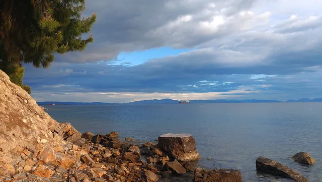 Jason Winter Swimmers Club